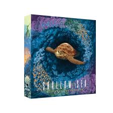 Shallow Sea Ocean Tier Pledge Kickstarter by Bad Comet