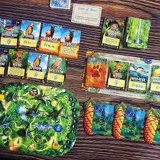 Canopy: Evergreen Deluxe Game by Weird City Games