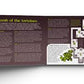 Dank & Dark RPG Board Book by Phillip Reed